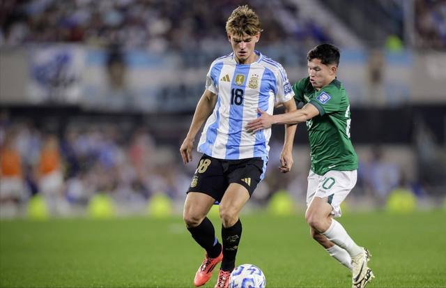 一档为实力 一档为实力